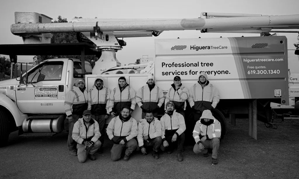 Higuera Tree Care team